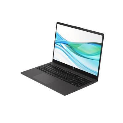 HP 250 G10 i5-1334U 8GB 512GB 15.6